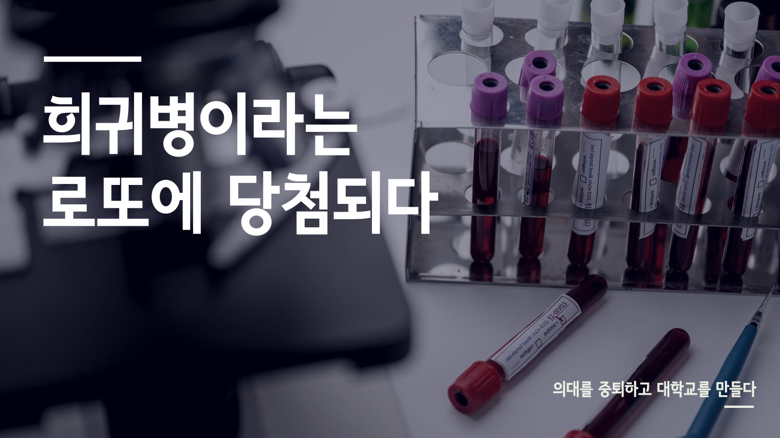 브런치 칼럼 4